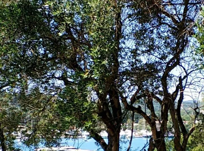 Apartman Coritos Corfu *