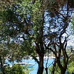 Apartman Coritos Corfu *