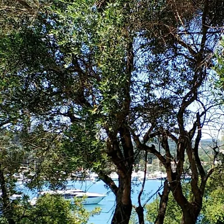 Apartament Coritos Corfu *